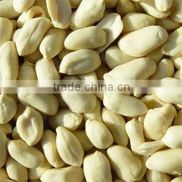 Traditional Type Peanut Kernels