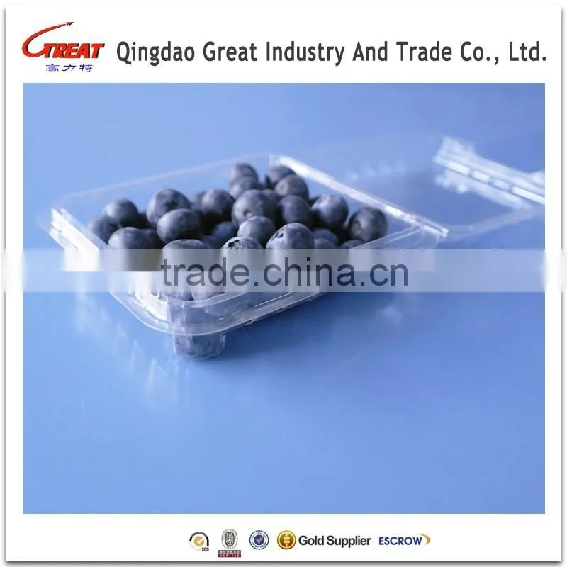PET Disposable Blister Blueberry Clamshell Container