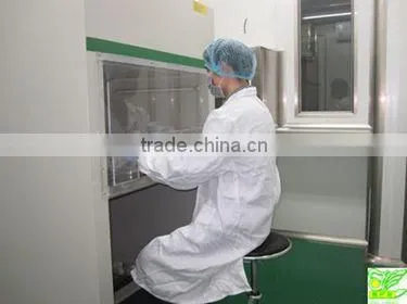 Wholesale price packaging bag supplier for coffee packaging in the market