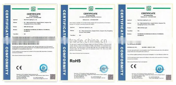 12V LED High Output Waterproof Rope Light With CE/RoHS/UL certificate