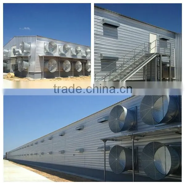 Professional high quality steel poultry shed/house for broiler