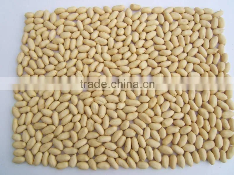 shandong blanched peanut kernels