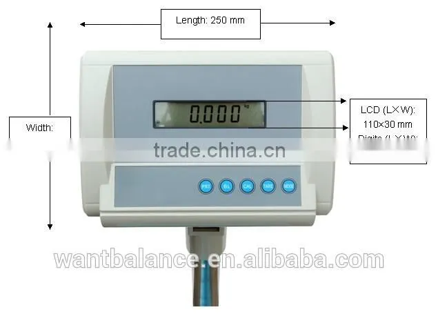 300kg scale model