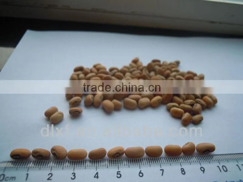 pink cowpea
