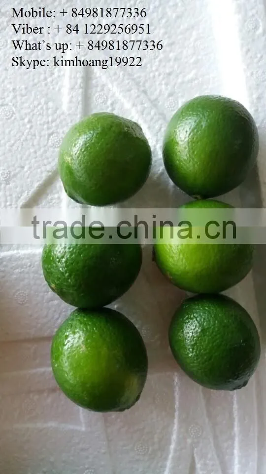 Fresh Lime / Lemon Vietnam