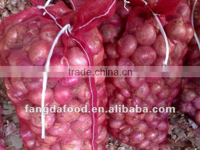 fresh yellow onion(in low price)