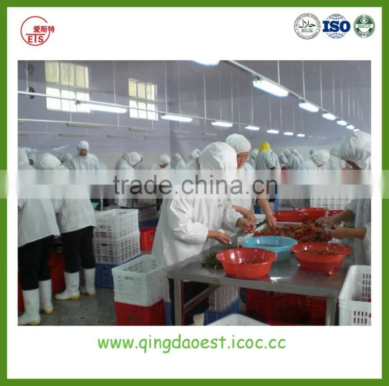 Export bulk Hot sale frozen IQF fresh strawberry