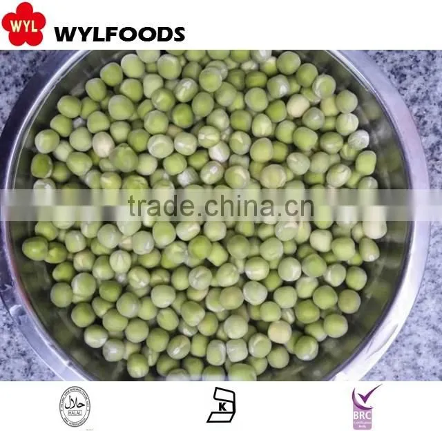 china good price frozen Boletus edulisfrozen mushroom