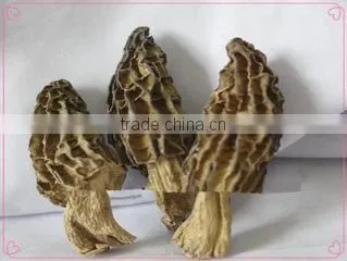 Chongqing Eusinasia Foods Co., Ltd. company overview - view 2