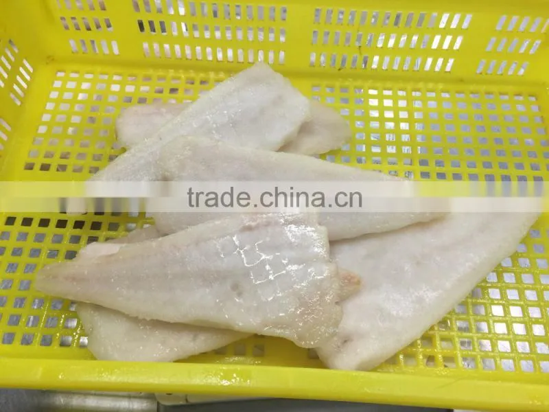Frozen alaska pollock fish fillet for thailand from china seafood exporter