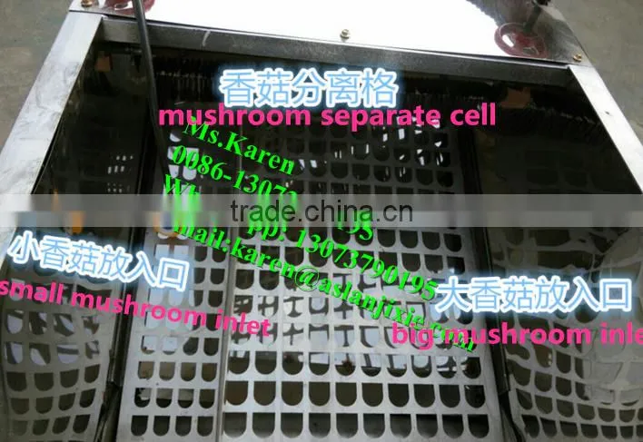 Mushroom leg and cap separator machine / Mushroom stem removal machine