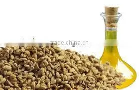 Ajowan Oil