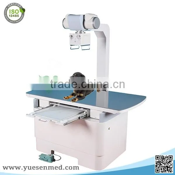 16kw 200mA Foolproof operation system medical vet x ray machine for sale