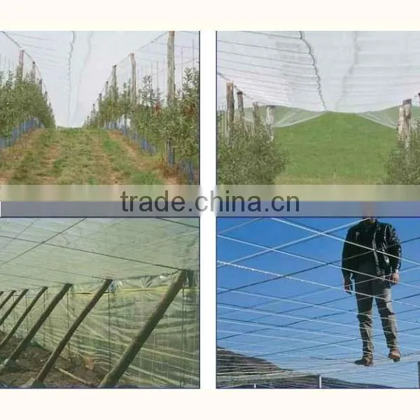 3.2mm Polyester wire for vineyard