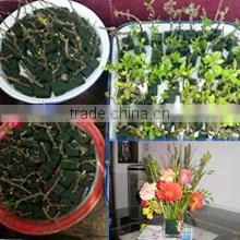 Xuzhou Huiya Imp.&Exp. Co., Ltd. company overview - view 3