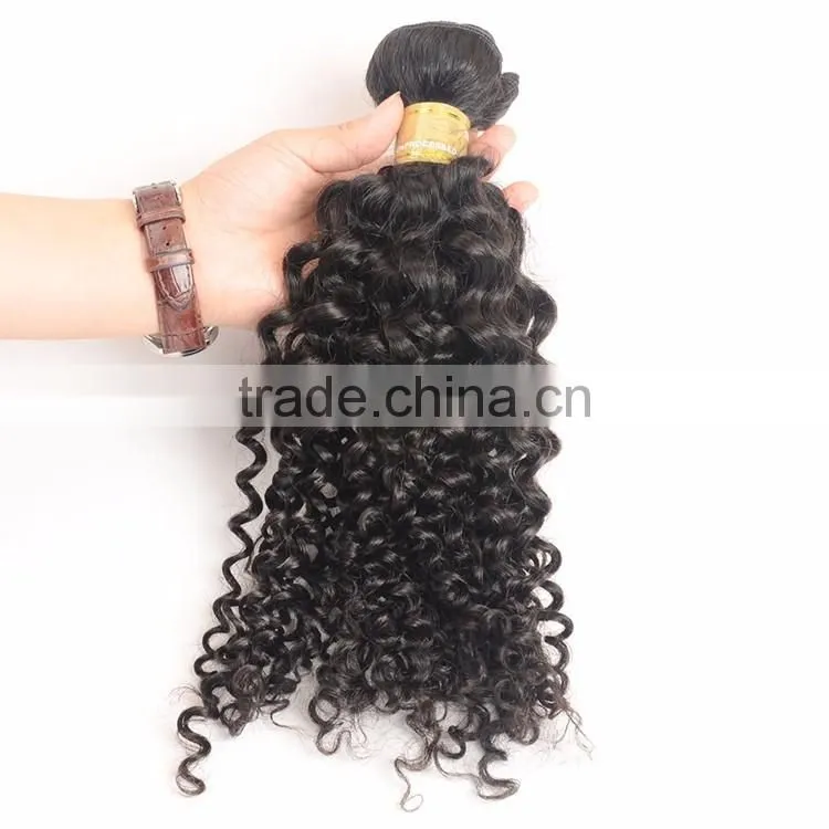 Kinky Curly Virgin Indian Hair Wholesale Unprocessed 8A Indian Human Hair Weaves Extension