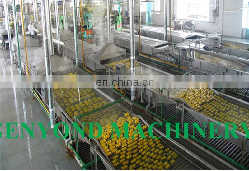 Canned Fruit Cocktail Processing Production Line