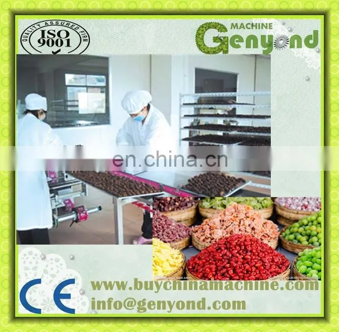 Hot Sale Fruit Drying Line for Dehydrated fruit