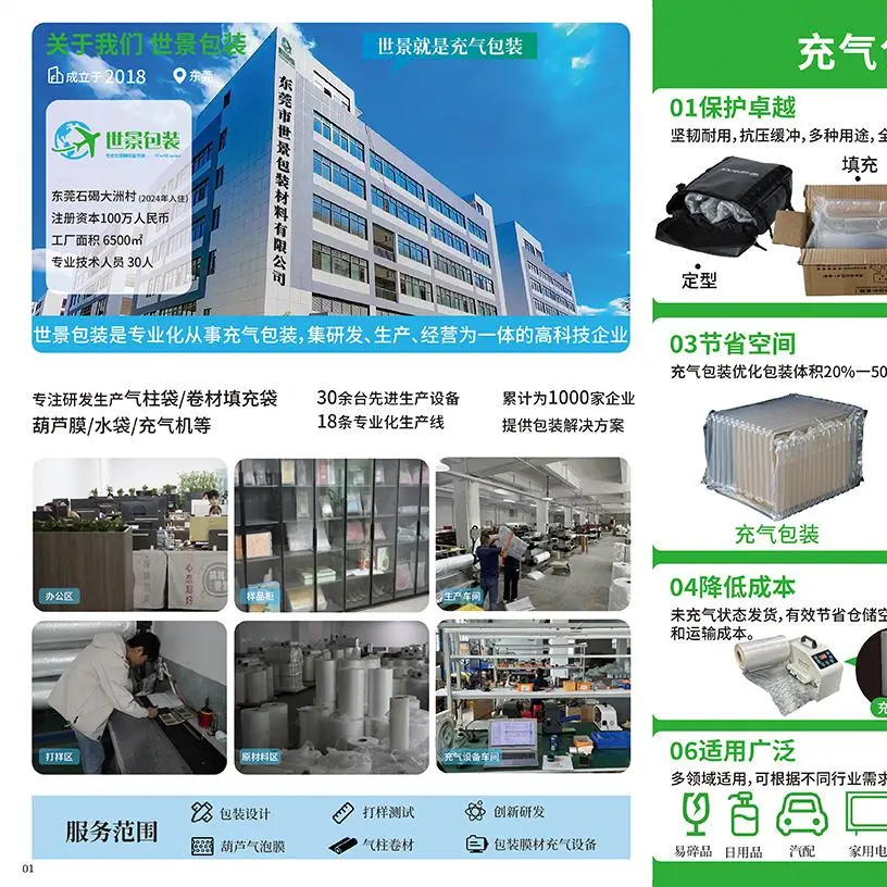 Dongguan Shijing Packaging Material Co., Ltd. company overview - view 1