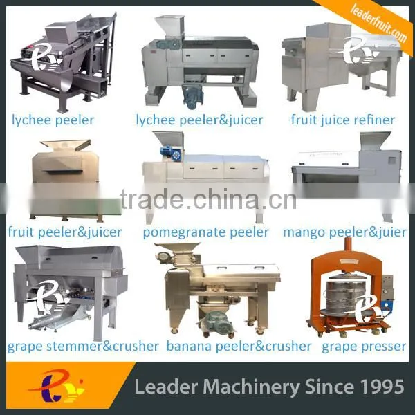 Leader stainless steel longan fruit processing line with CE & ISO