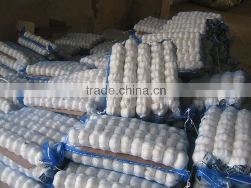 Chinese Fresh Garlic