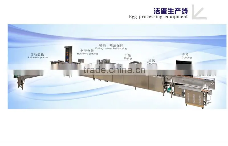 7500pcs/h egg grading packing machine for sale