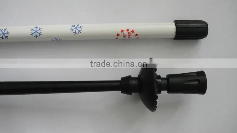 Ski Pole