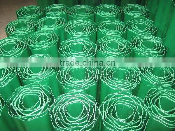 green lawn border