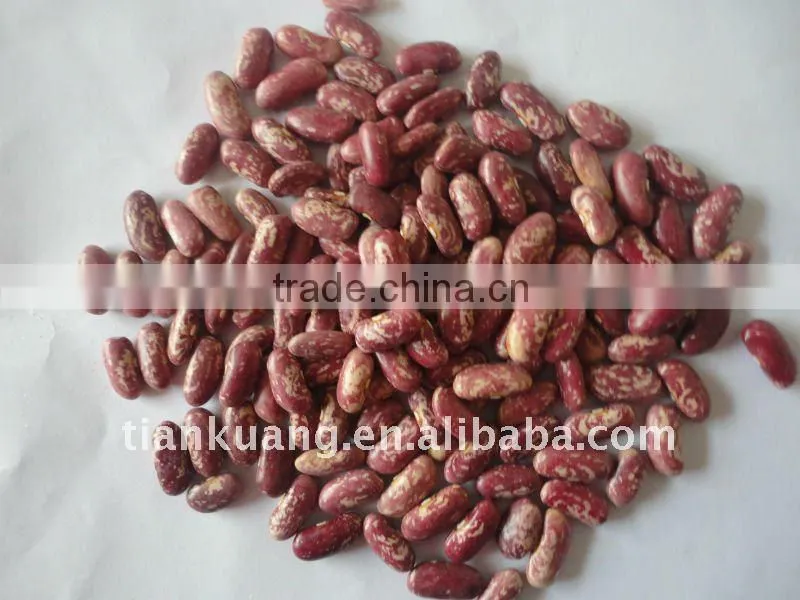 new crop round light speckled kidney bean