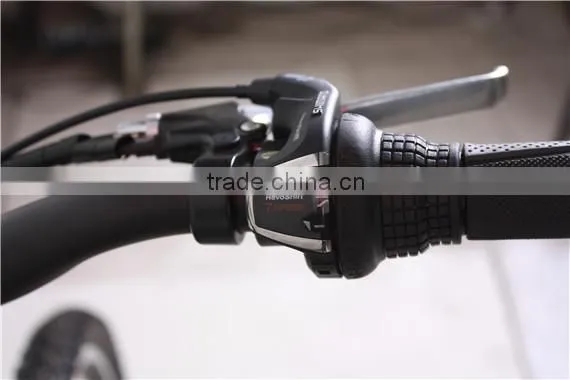 2013 germany fair popular electric bike best quality control