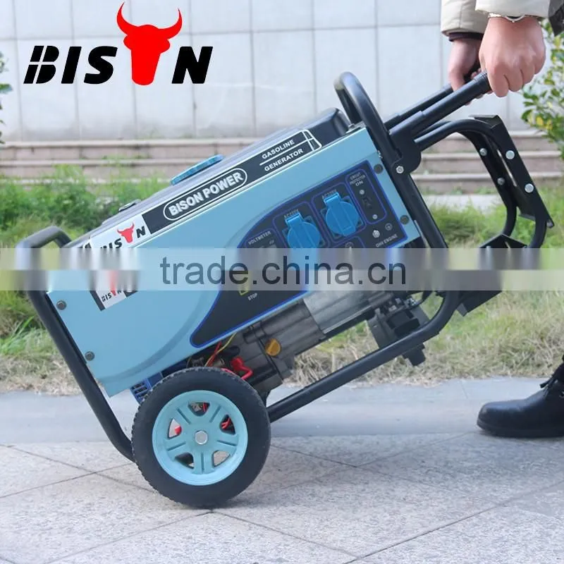 BISON(CHINA) BS3500 OEM ODM Honda JD portable gasoline generator
