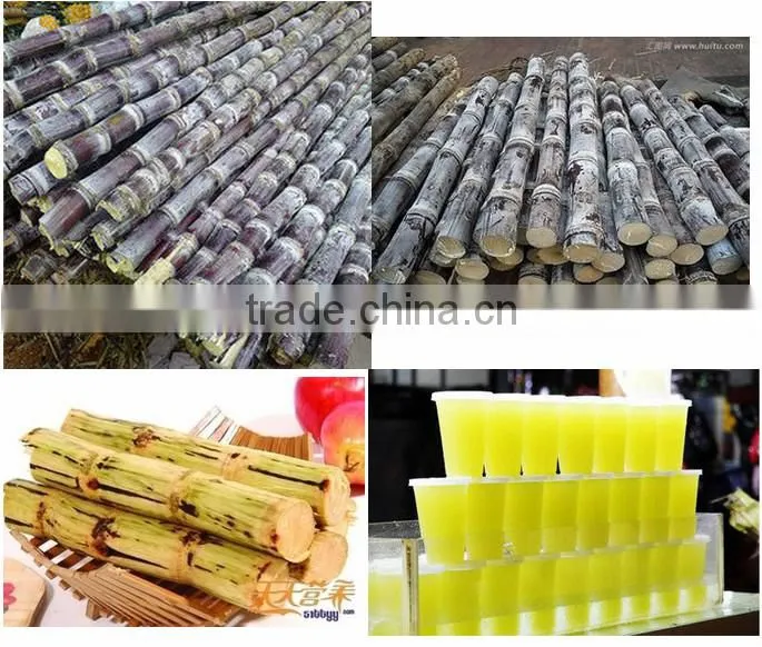 sugar cane juicer for sale with competitive price
