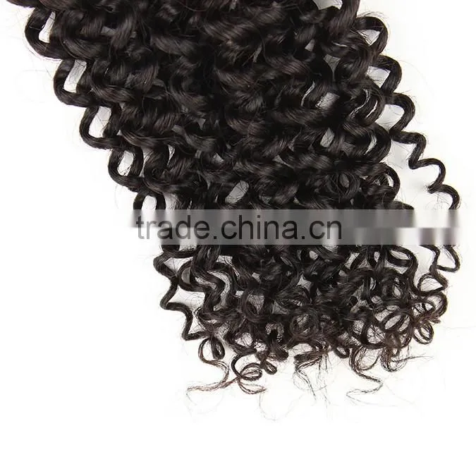 100% unprocessed human virgin Brazilian hair kinky curly