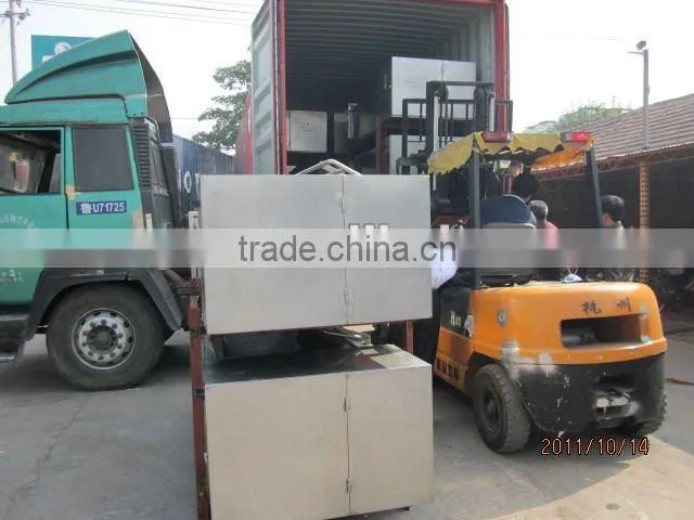Food machine Carrot cleaning line Model CL-9