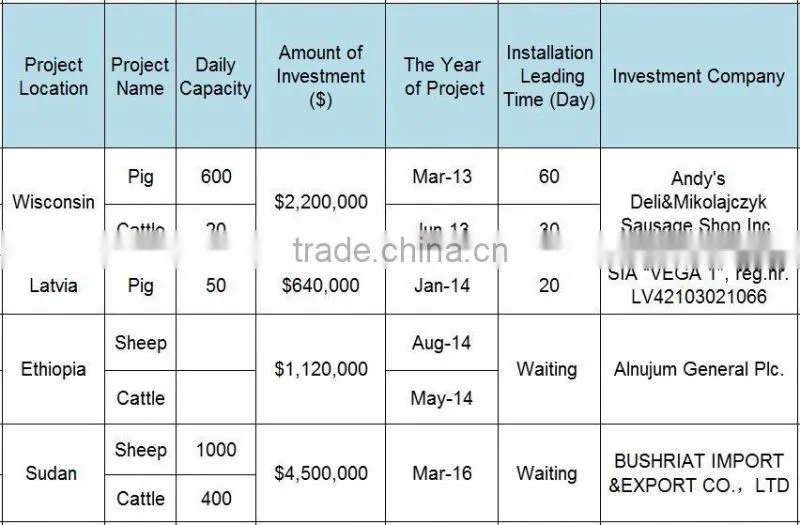 500 cattle slaughter line equipment with good layout design