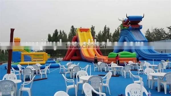 Giant Water Slides for adult