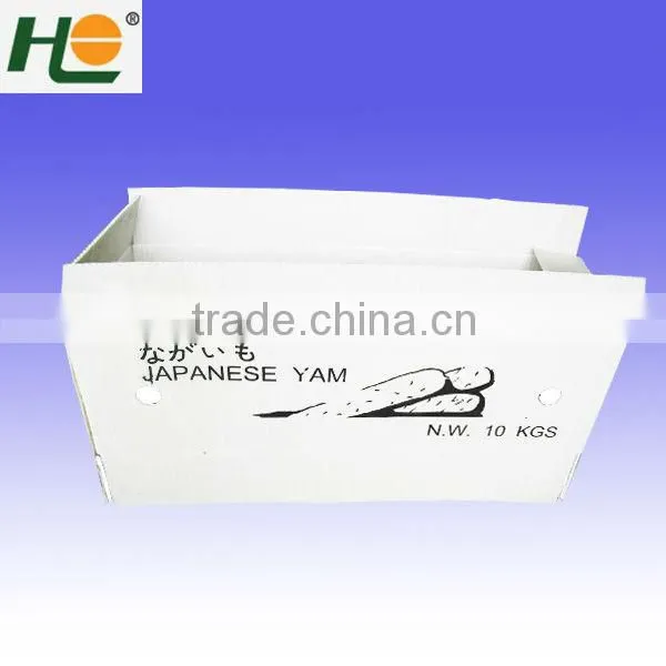 Moisture-proof pp corrugated plastic box for vegetables packing