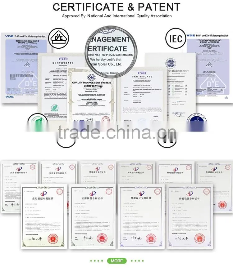 China supplies new coming bright 50W portable of 110V or 220V solar powered lamps