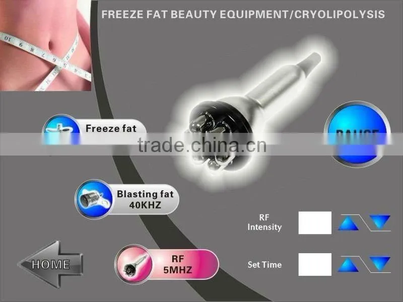 WS-30B Cool tech fat freezing machine