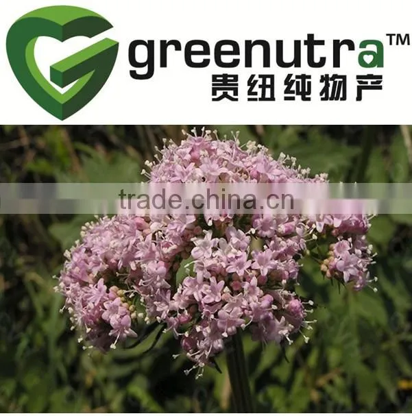 Pure valerian root extract