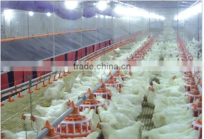 Poultry automatic pan feeding system for breeders