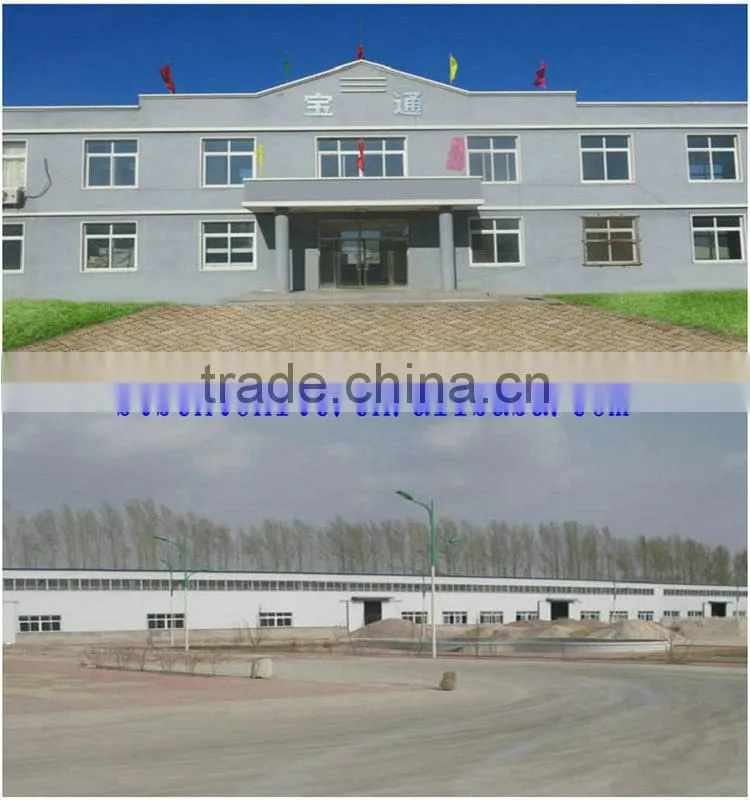 Bentonite Cat Litter Cat Toilet Sand EOM Service