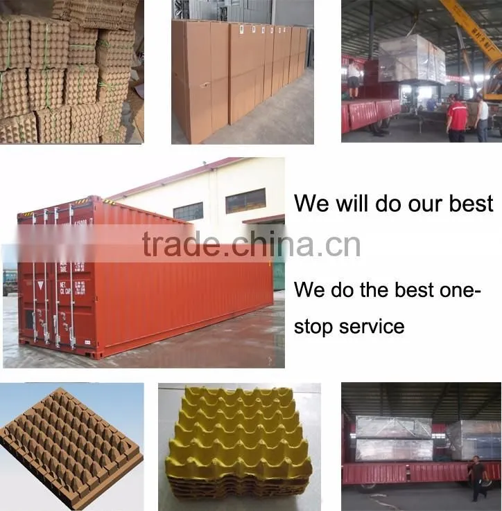 2016 factory high quality egg cartons for sale