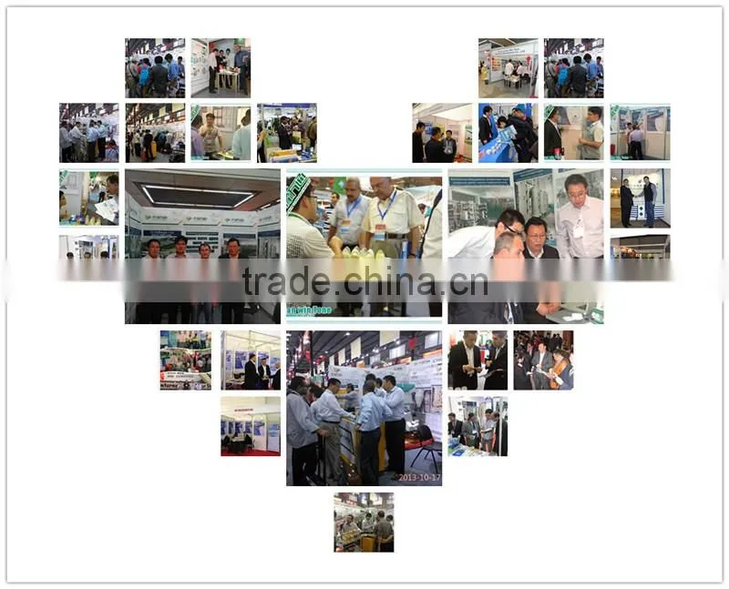 China 19 Years Factory Sunflower Seed Sheller/Sunflower Seed Shelling Machine
