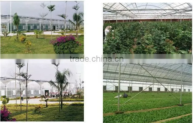 Agriculture Film Greenhouse Design(ISO9001:2000) with film covering
