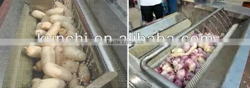 Most popular carrot/potato/onion peeling and washing machine
