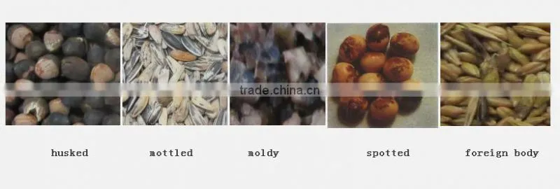 Grain,Wheat,Rice,Seeds,Dehydrated Vegetable,Recycle Plastic Color Sorter