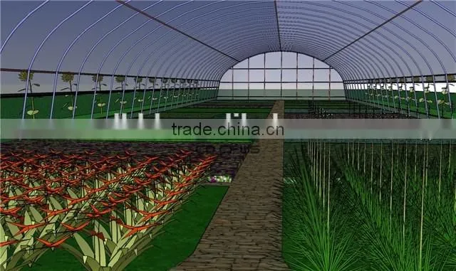 single span greenhouse for tomatoes growing