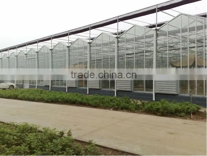 glass greenhosue with shading net hydroponic systems greenhouse