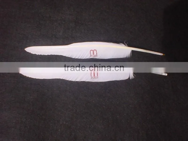 feather pens/quill pen/history pen